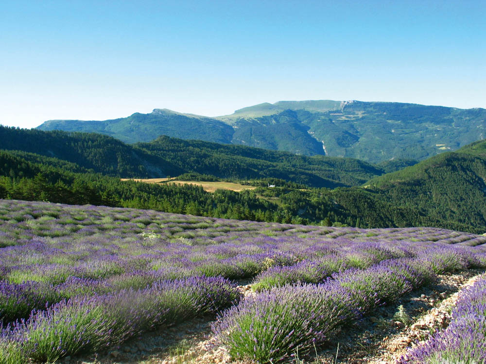 Haut-Charens - Valdrôme