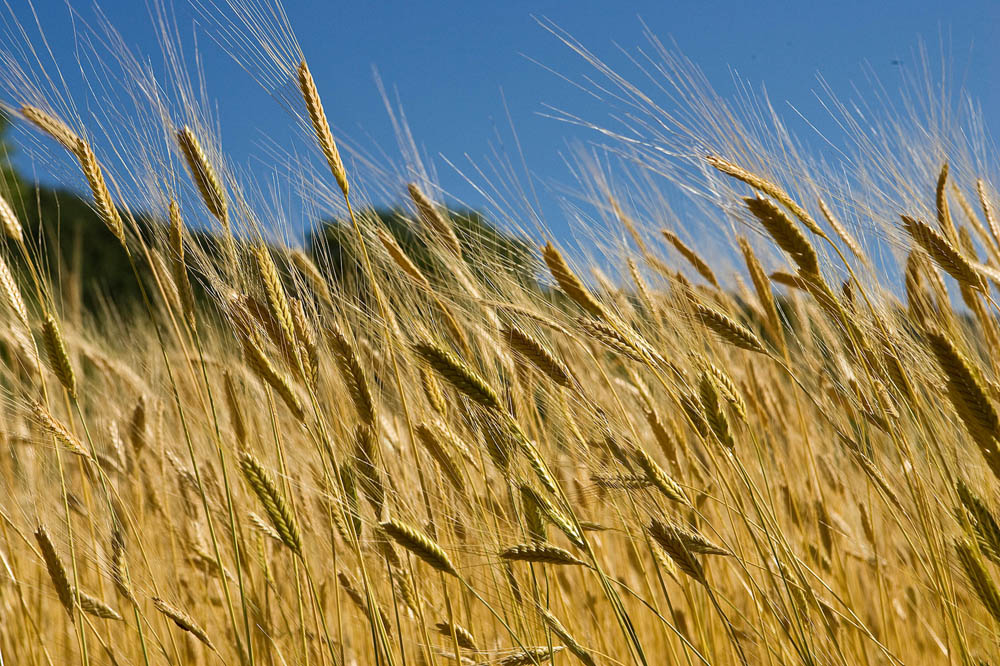 Col Saint Jean - Barret sur Méouge