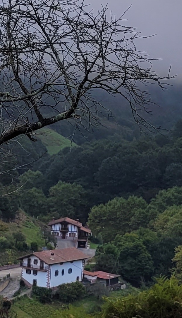 Sunbilla 1