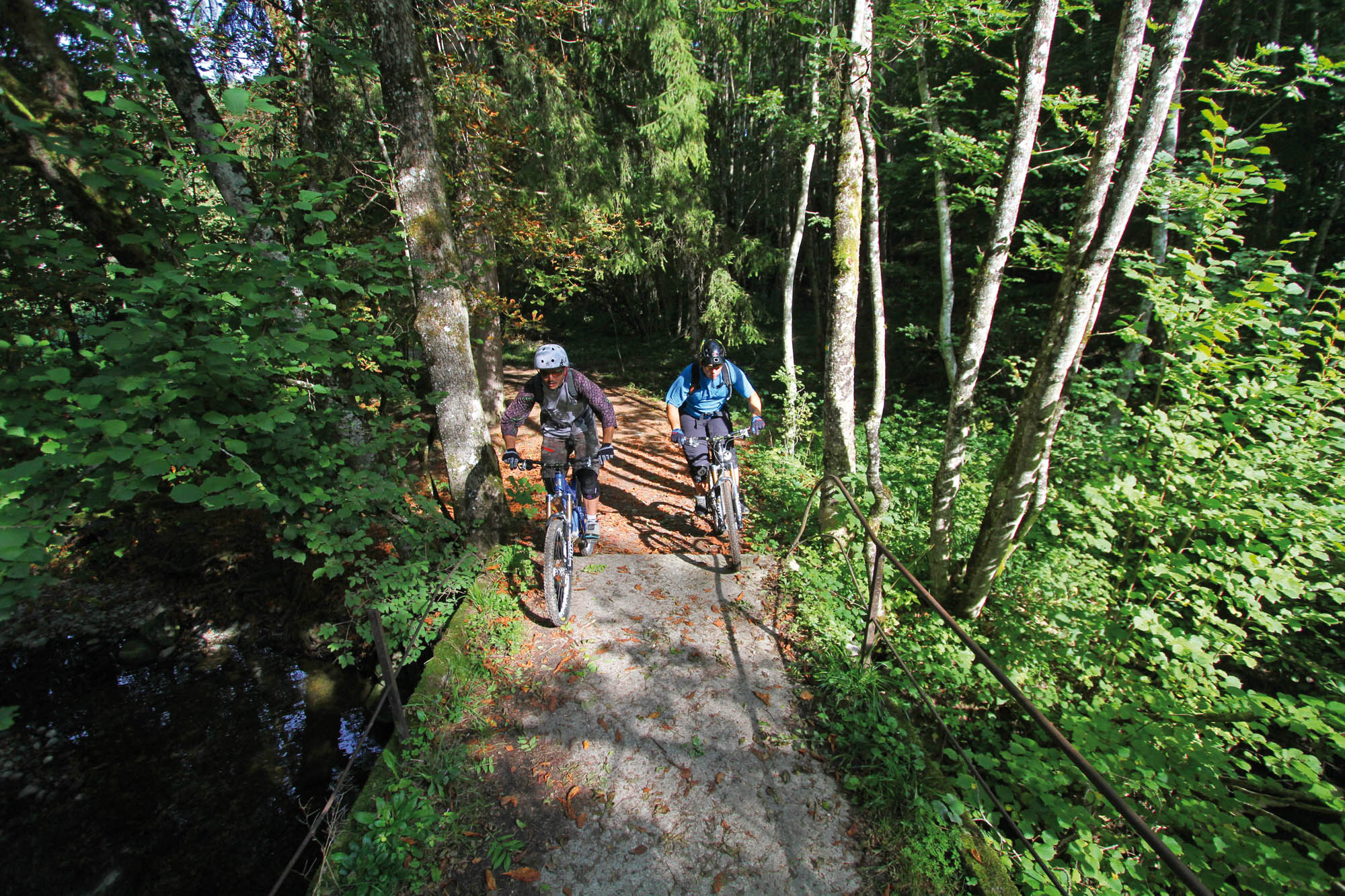 Villard - Pont de Fillinges