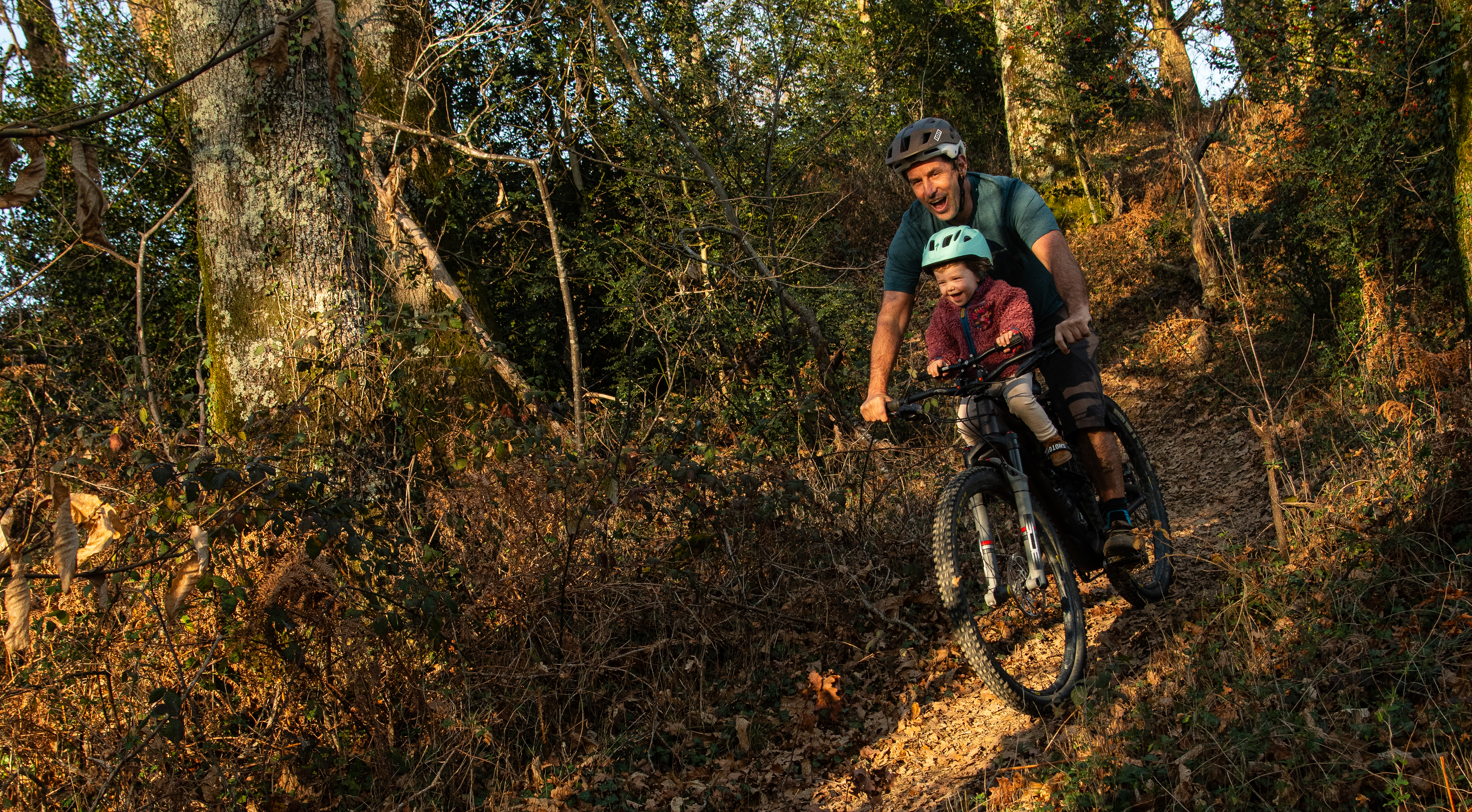 Le bois de Bénéjacq