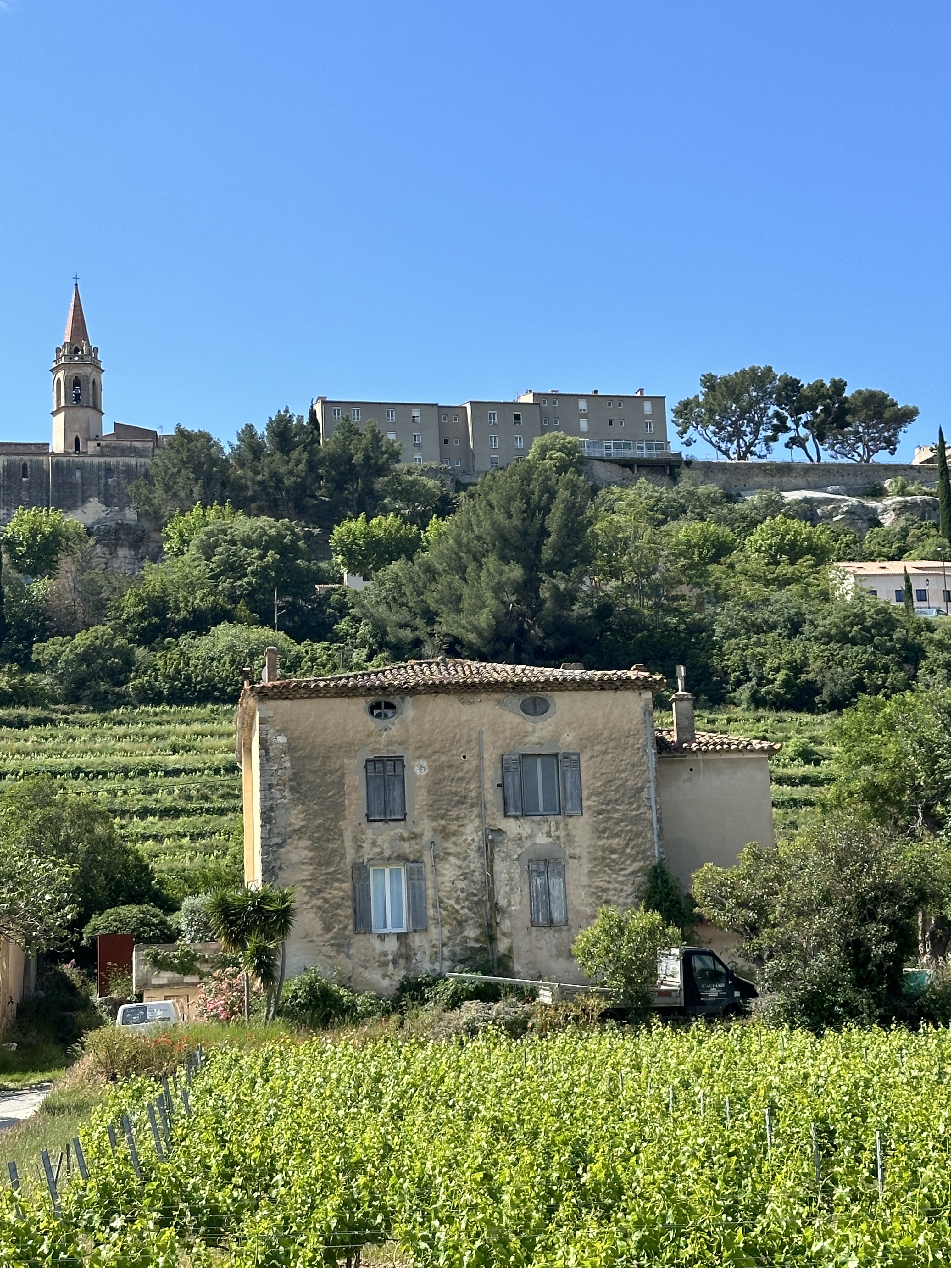 À travers les vignes