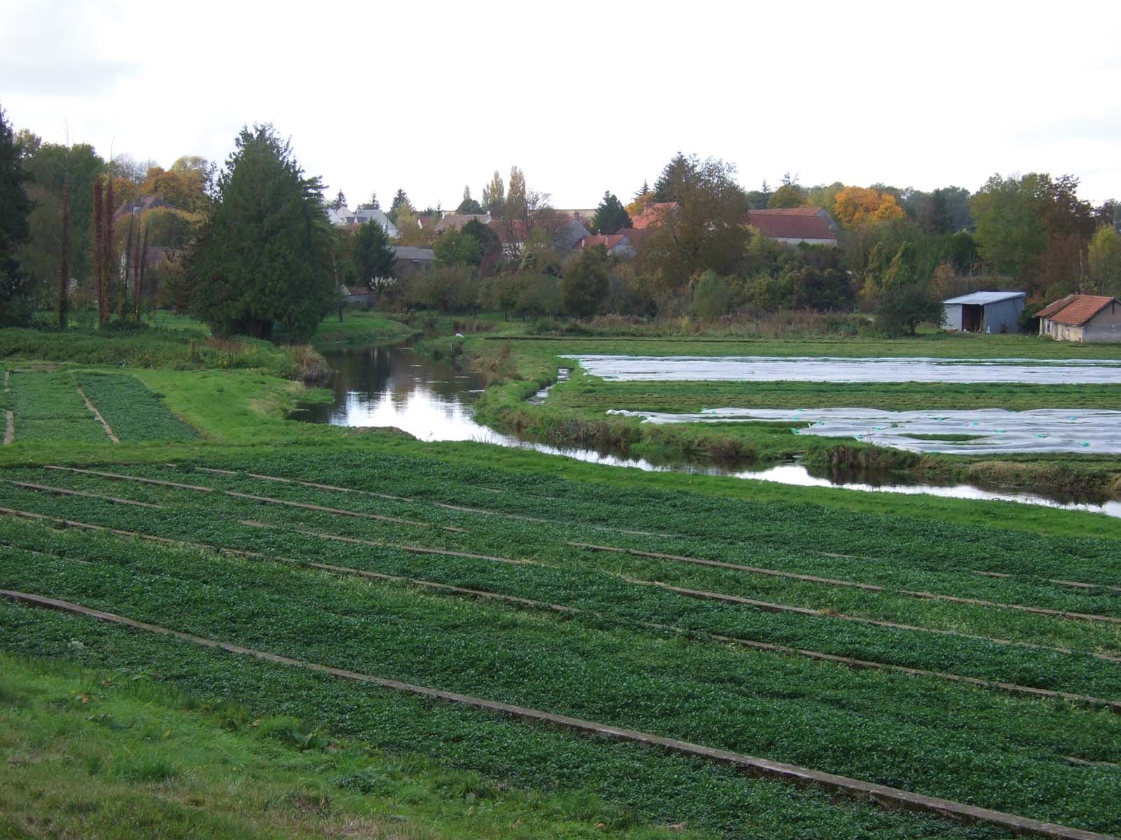 Aux sources de la Juine