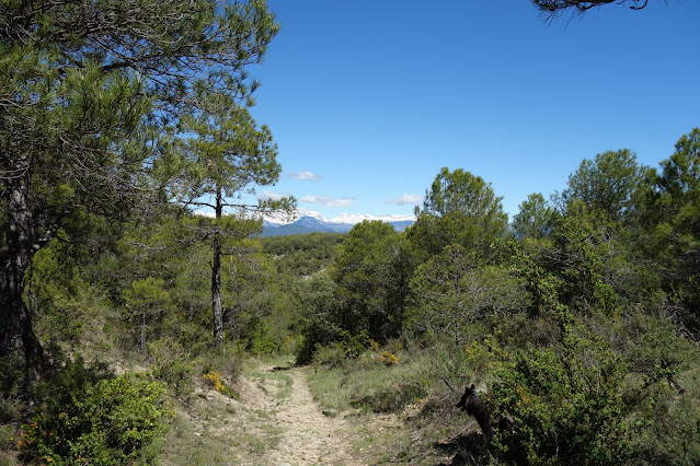 Camporrotuno-y-los-dineretes