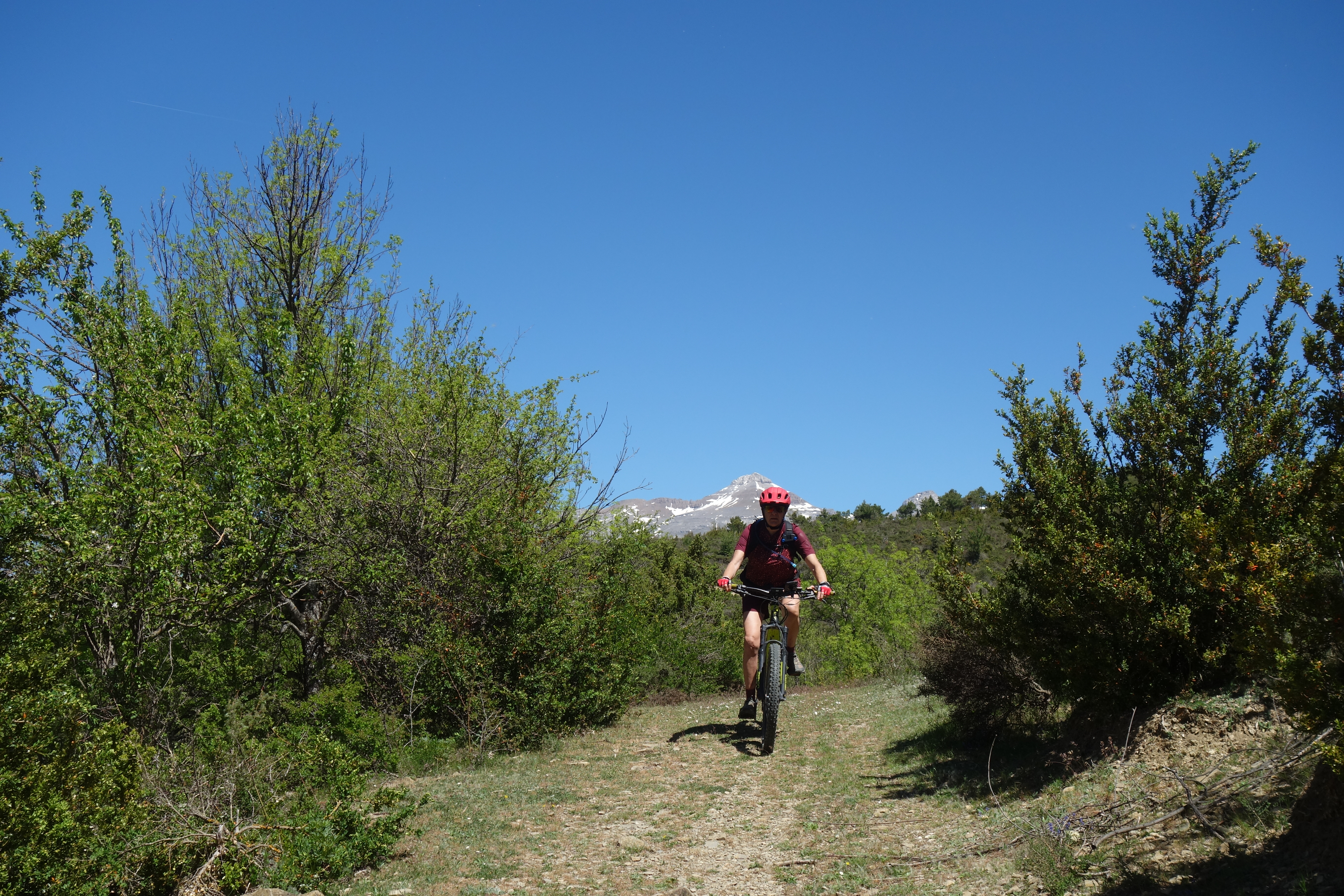 Jaca Bergosa par Castiello