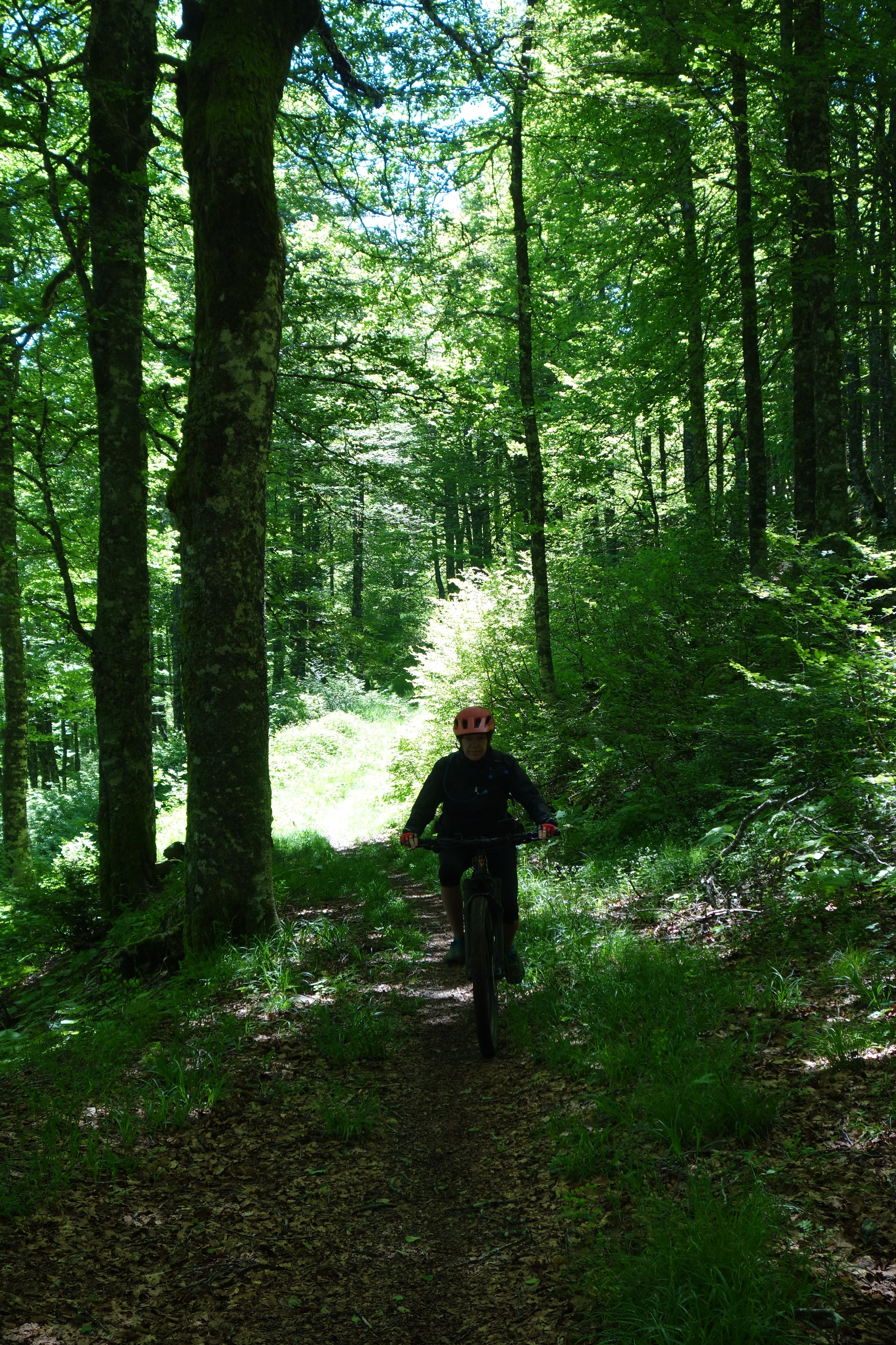 Sierra de Abodi 