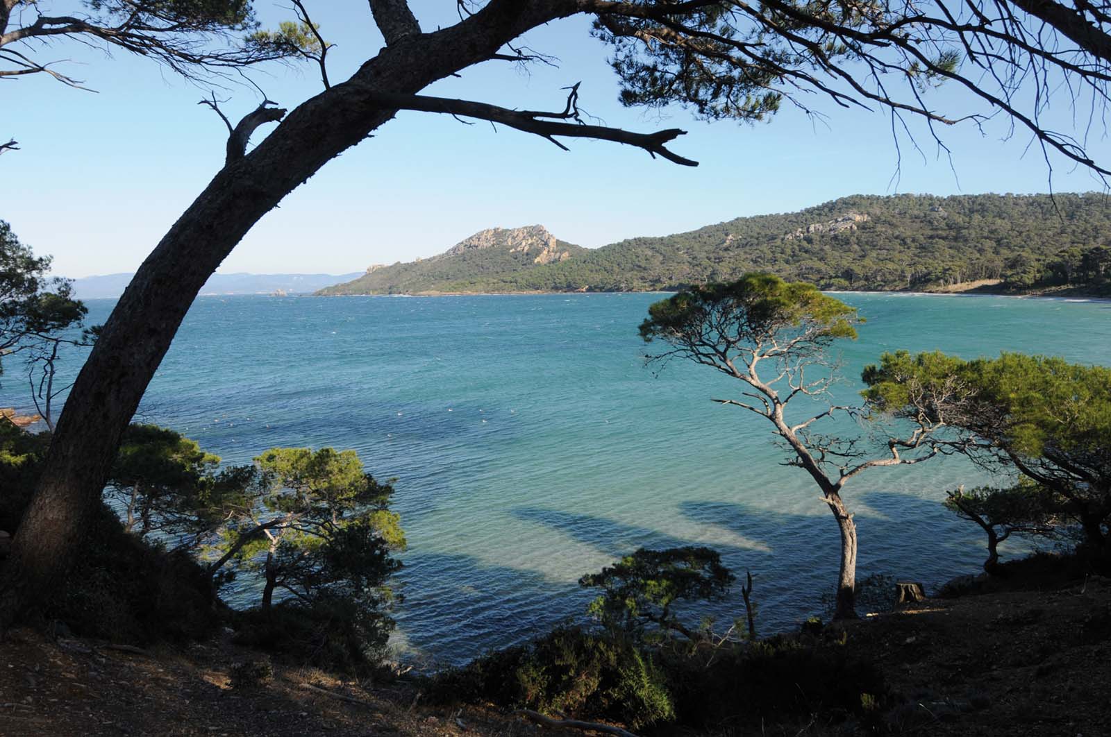 Ile de Porquerolles - Circuit du Mistral