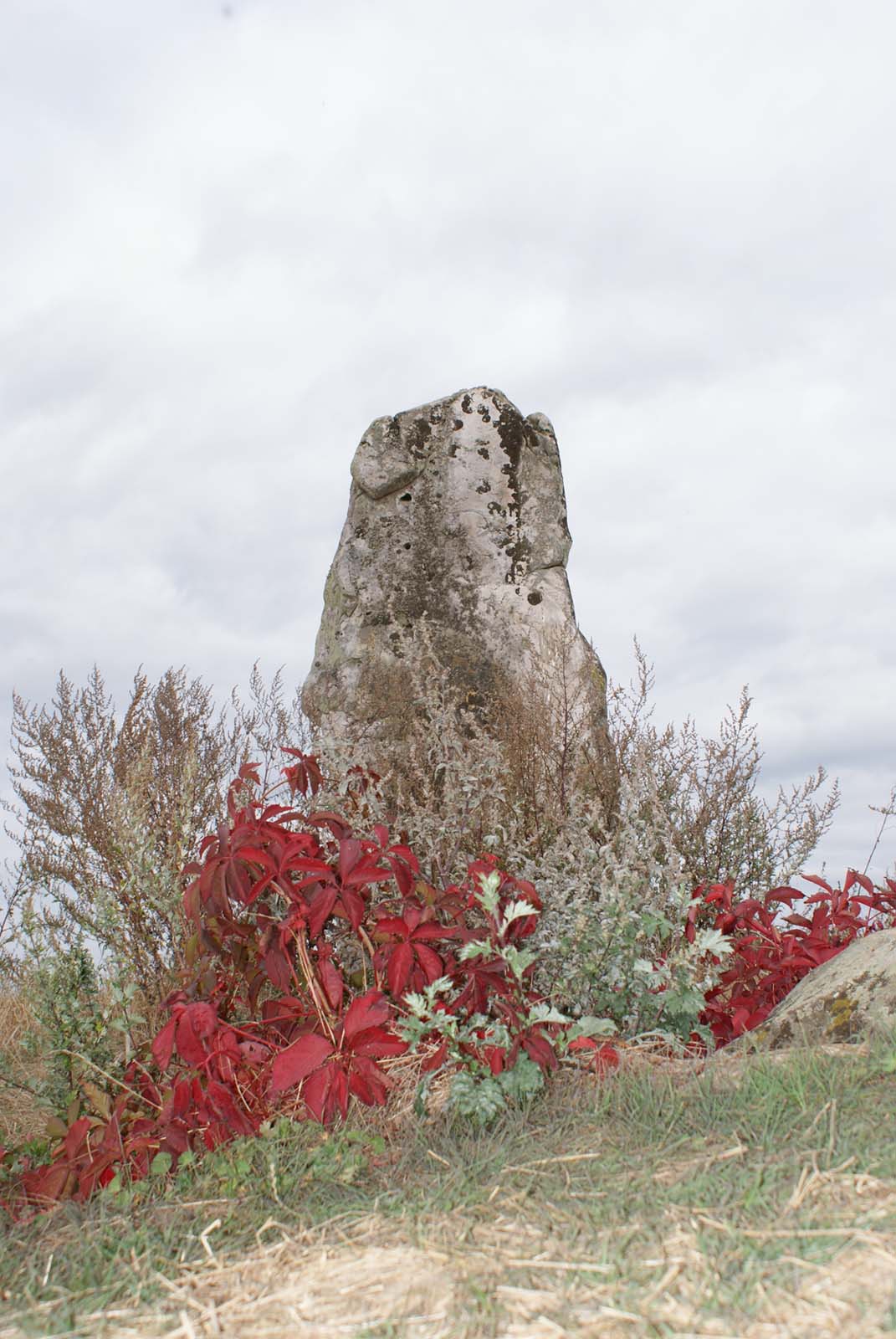 La Plaine des Six Fermes