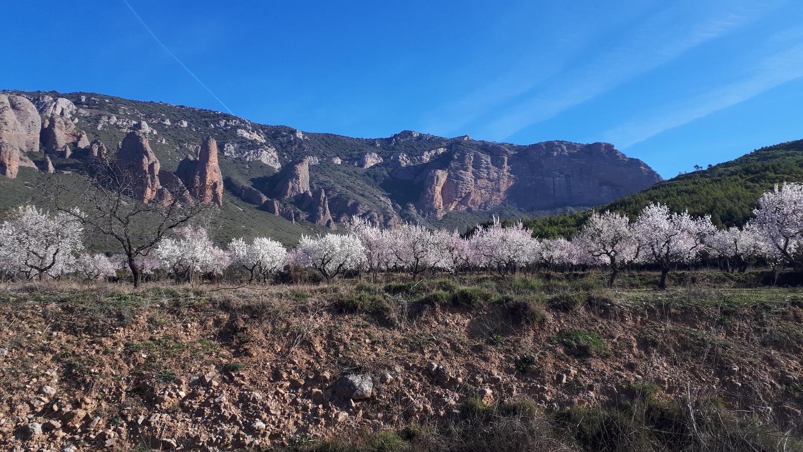 Riglos, Castillo de Marcuello