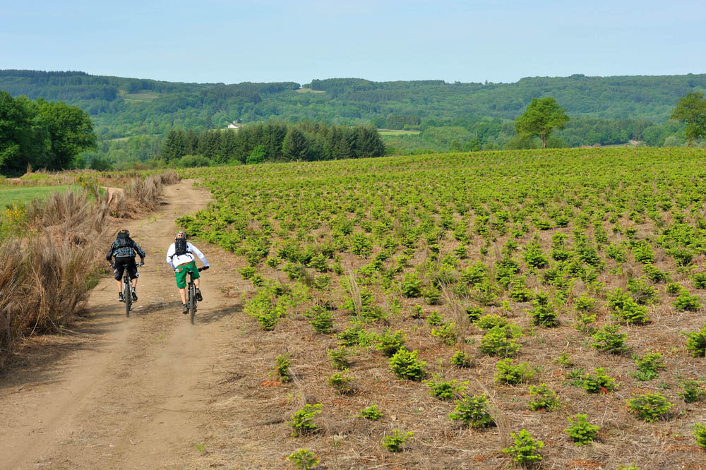 Champeau-en-Morvan - Fétigny